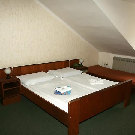 Hotel Michle